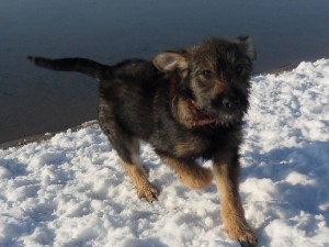 Evy (nu Yuwa), geadopteerd 30-01-13