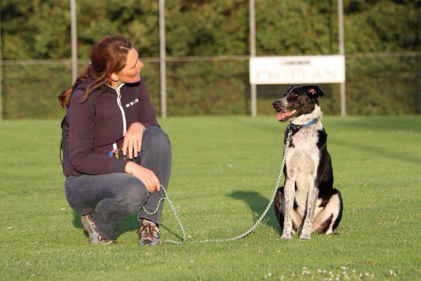 robin geadopteerd