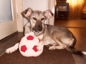 Erika (nu Lupi), geadopteerd 25-01-13