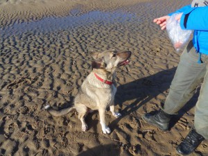 Erika (nu Lupi), geadopteerd 25-01-13