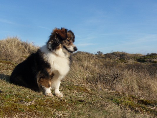 Mama (nu Ama), geadopteerd 28-01-13