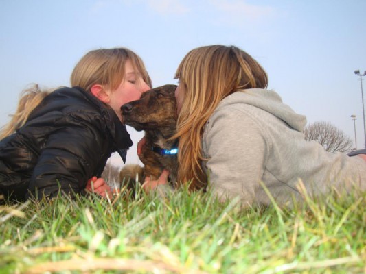 Samba (Sammy), geadopteerd 05-05-13