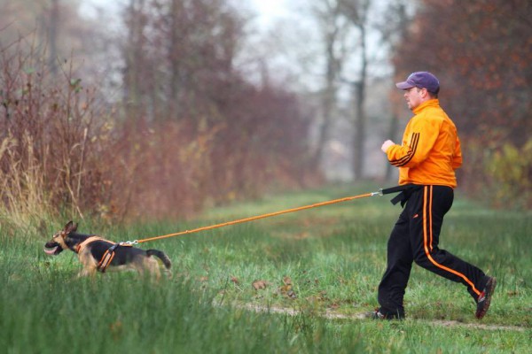 Miki geadopteerd