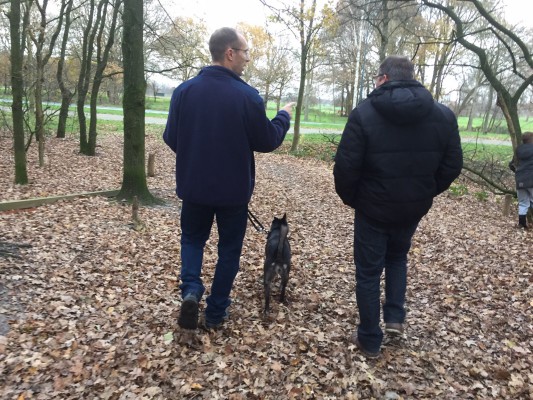 saar op bezoek in son en breugel